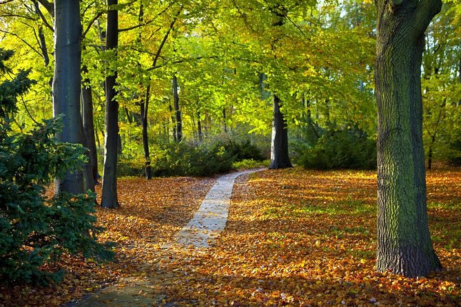 3-Hour Bike Tour of Tiergarten and Berlin's Hidden Places - Key points to know before you pedal away