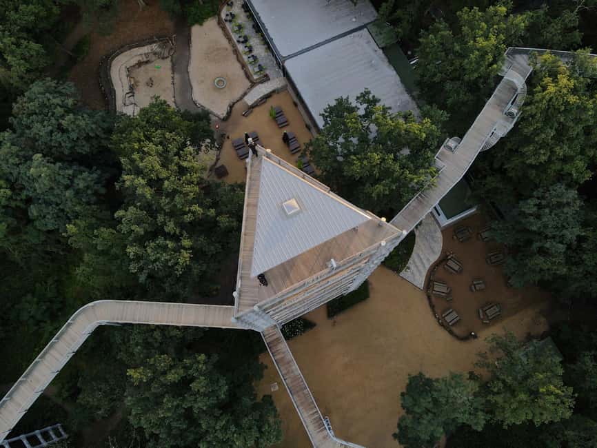 Beelitz-Heilstätten: Baum&Zeit Tree Top Walk Entry Ticket - Climbing the 40-meter tower