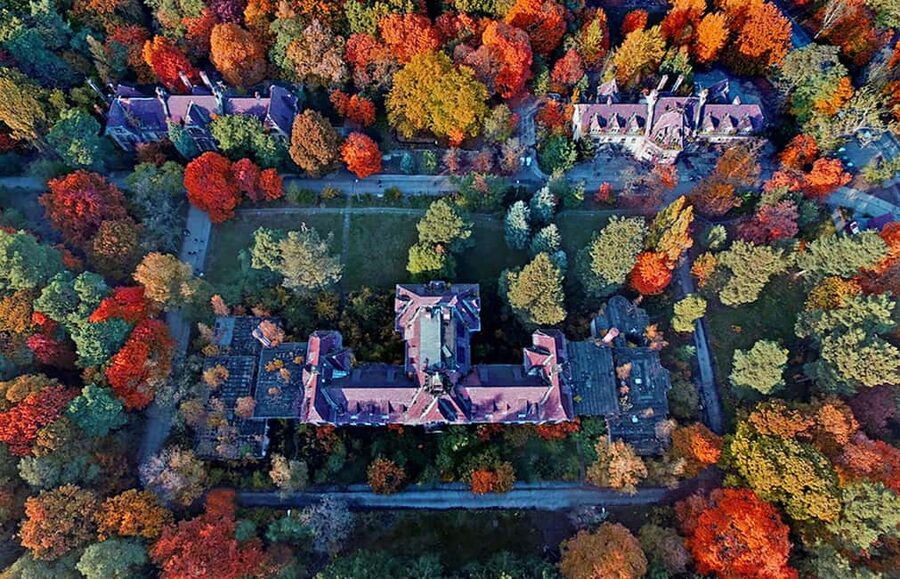 Beelitz-Heilstätten: Baum&Zeit Tree Top Walk Entry Ticket - Trees, shrubs, and changing seasons