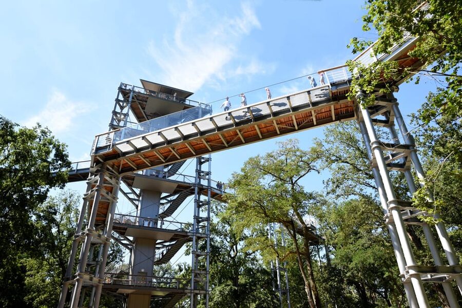 Beelitz-Heilstätten: Baum&Zeit Tree Top Walk Entry Ticket - Who will enjoy this outing most