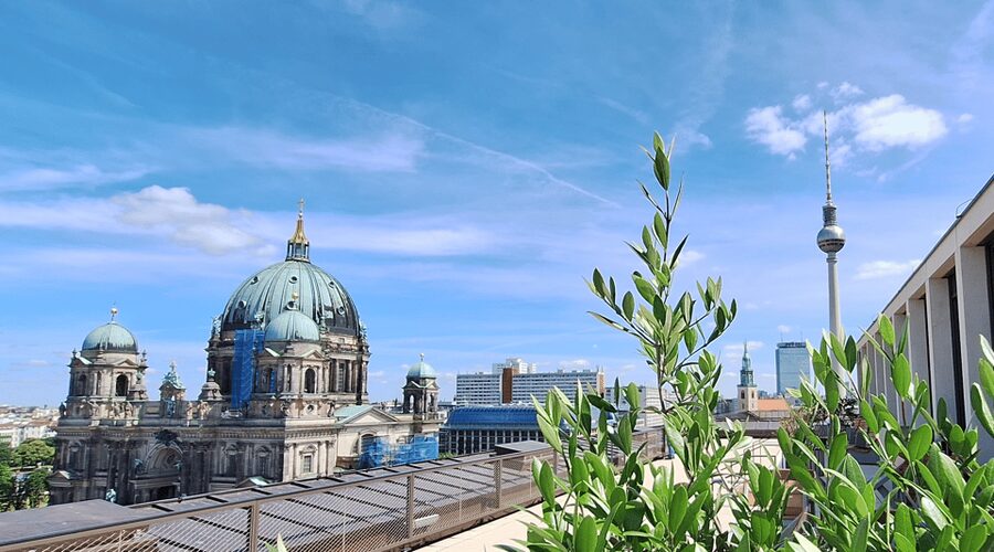 Berlin: City Highlights Express & Panorama Roof Terrace - Humboldt Forum and the rebuilt Berlin Palace