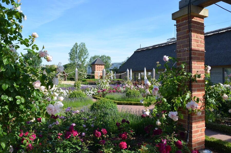 Berlin: Gärten der Welt Guided Tour - Plants, flowers, and facts along the route