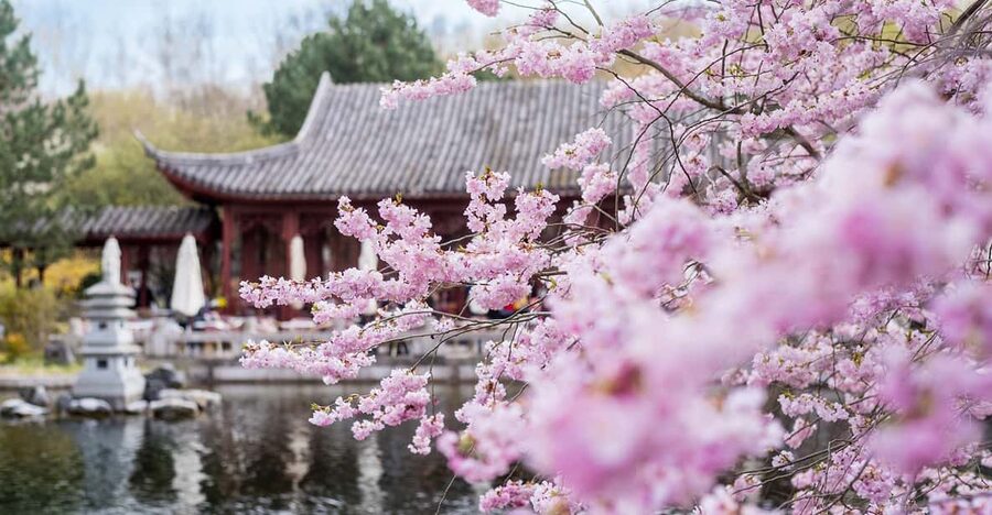 Berlin: Gärten der Welt Guided Tour - The Chinese Garden and the value of guided detail
