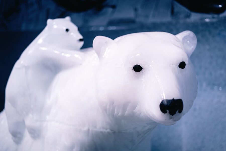 Berlin: Icebar Entrance with Complimentary Drinks - How long the 45-minute visit really feels