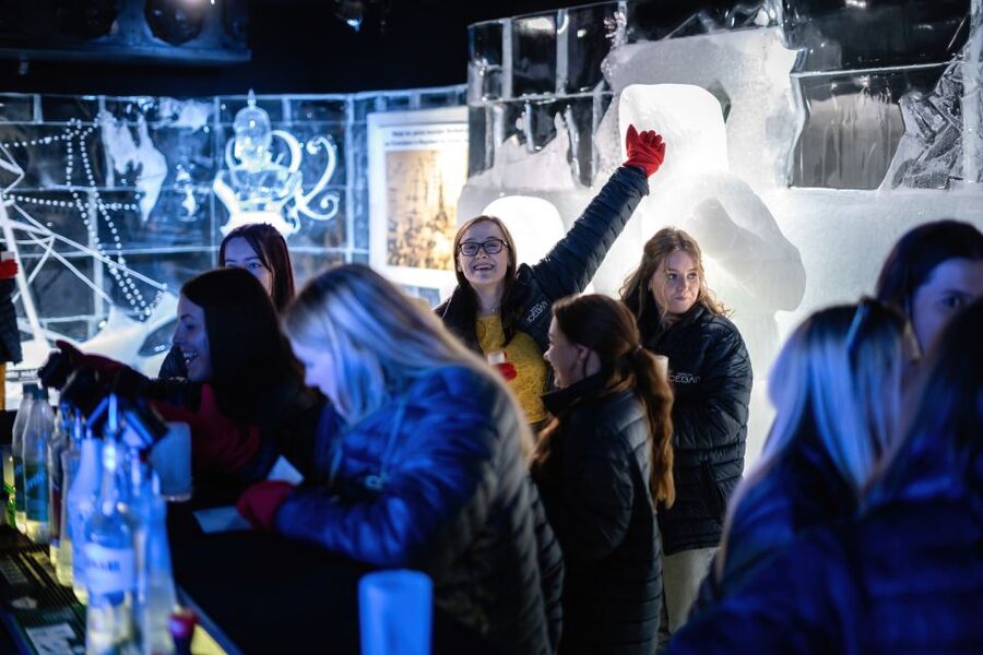 Berlin: Icebar Entrance with Complimentary Drinks - Value at about $22 per person