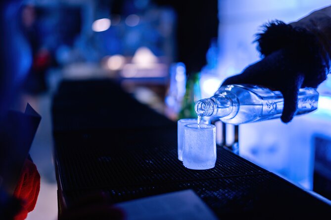 Berlin Icebar Experience Including 3 drinks - The main drawbacks to weigh