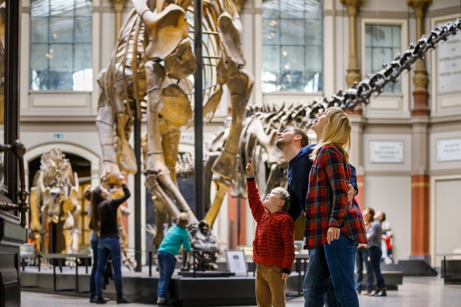 Berlin: Natural History Museum Entrance Ticket - Key points to know before you go