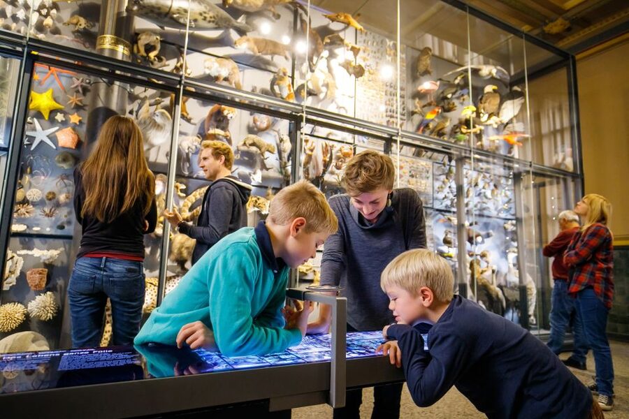 Berlin: Natural History Museum Entrance Ticket - The online audio content is useful, with a catch