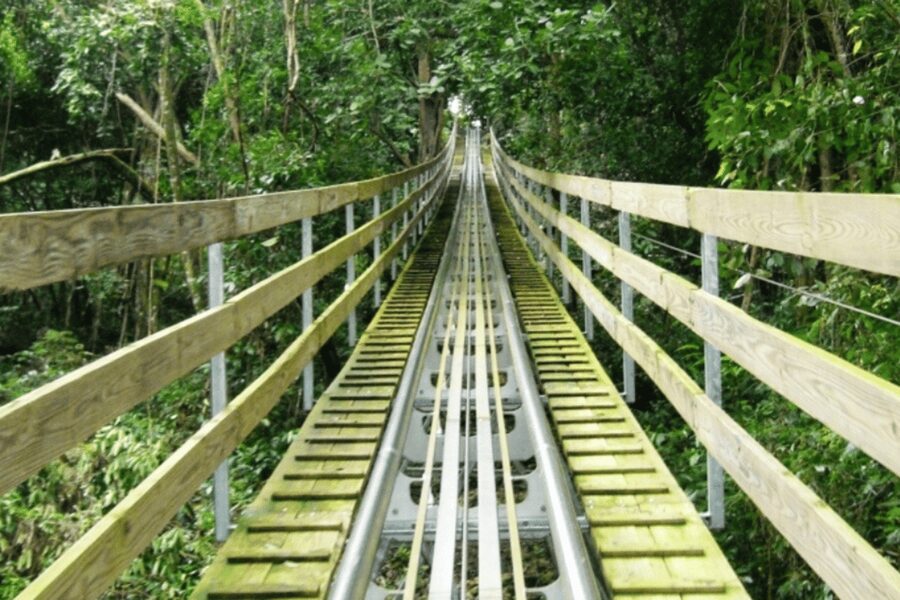 Berlin: Nature Bobsled Run Ticket - Safety rules that affect your experience
