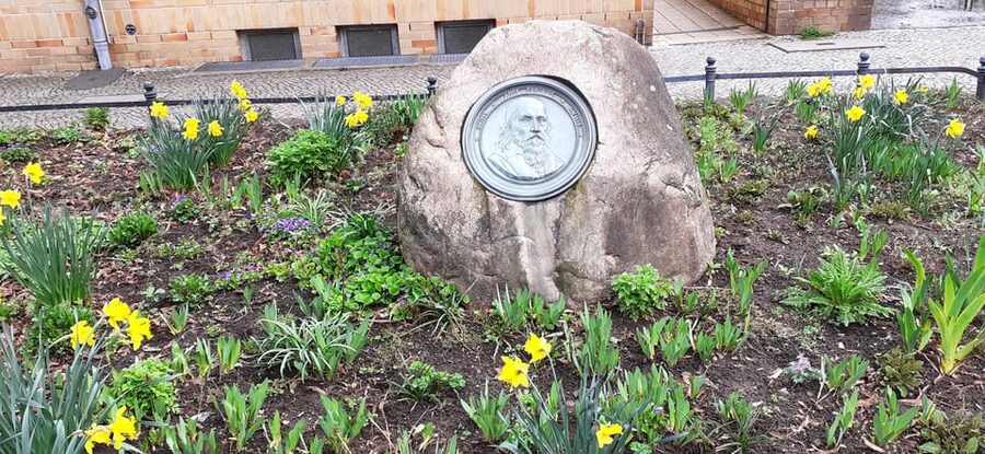 Berlin: Old Neukölln Private Walking Tour - Language, walking comfort, and who should book