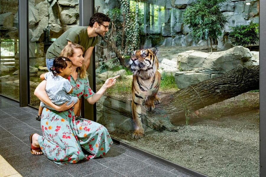 Berlin: Tickets for the Tierpark in East Berlin - Key points to know before you go