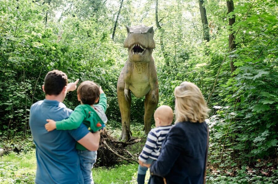 Berlin: Tickets for the Tierpark in East Berlin - What your Tierpark Berlin day looks like