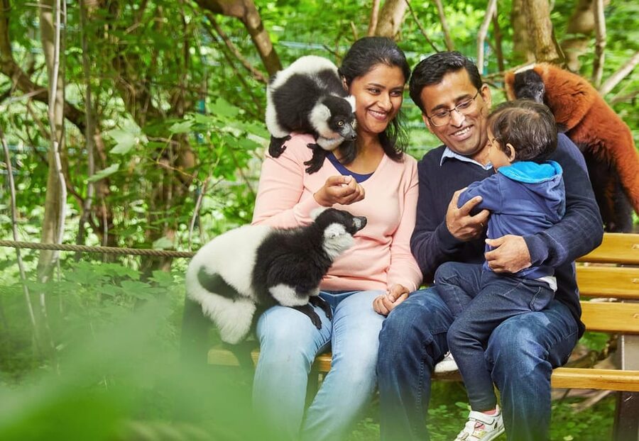 Berlin: Tickets for the Tierpark in East Berlin - Access, rules, and what to leave at home