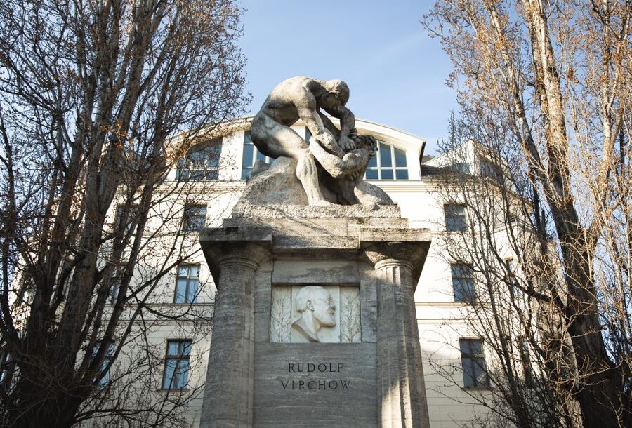 Berlin: walking tour about Charité - The medicine temple in a backyard