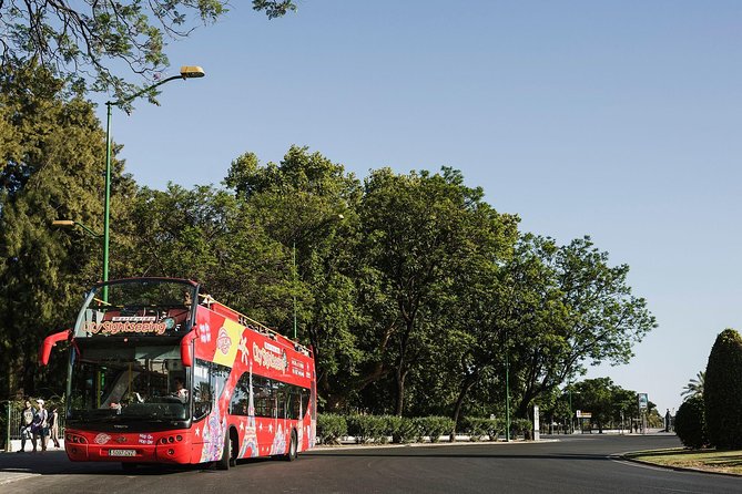 City Sightseeing Potsdam Hop-On Hop-Off Bus Tour - Is $24.06 good value?