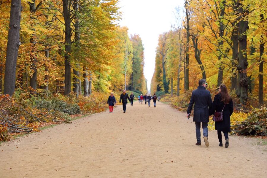 From Berlin: Historical Gems of Potsdam Private Day Trip - Is $245 per person good value?