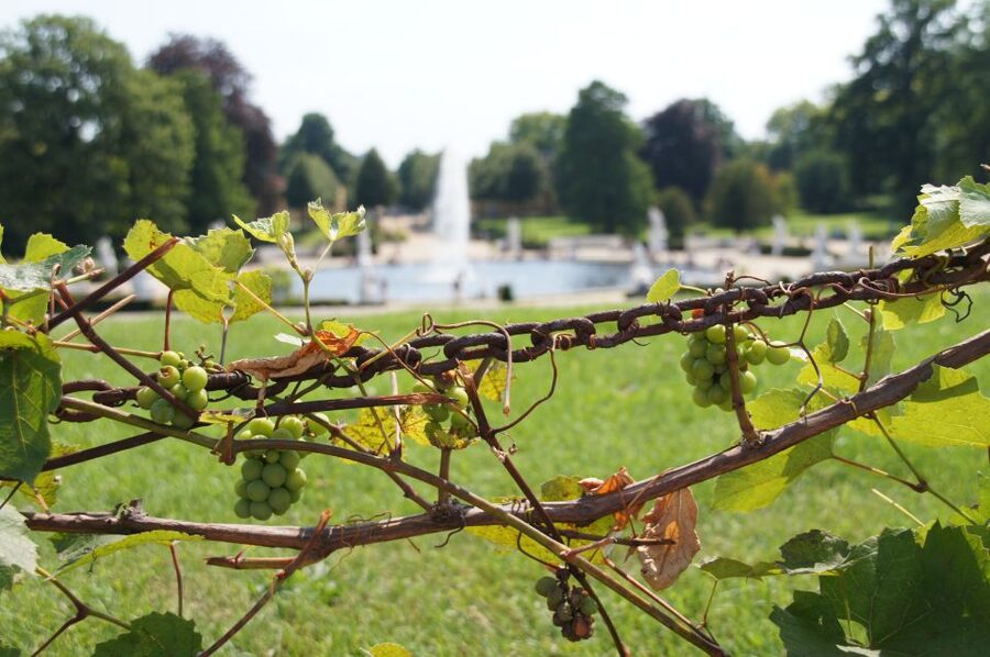 From Berlin: Potsdam Half-Day Tour in Spanish - Why Potsdam makes a fine half-day from Berlin