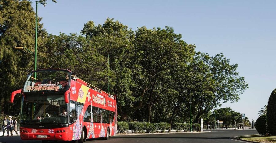 Potsdam: City Sightseeing Hop-On Hop-Off Bus Tour - Why a bus makes sense in spread-out Potsdam