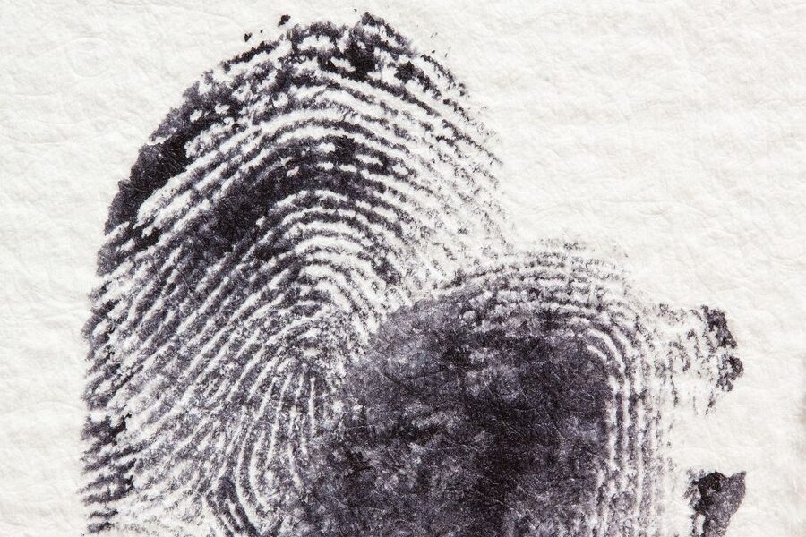 Potsdam: Jägervorstadt Outdoor Crime Mystery Tour - Two hours, $38, and what the price buys