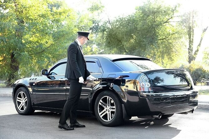 Private One way Airport Transfer Berlin Airport To Berlin - Price, vehicle choice, and real value