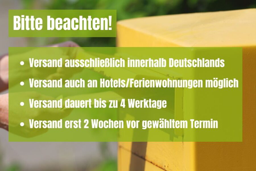 Scavenger Hunt through Berlin's Government District - Key points at a glance